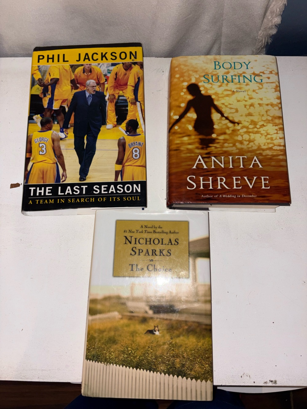 Set of 3 Hardcover Novels - Nicholas Sparks & Anita Shreve